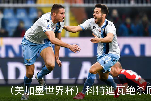 （美加墨世界杯）科特迪瓦绝杀厄瓜多尔 瑞典5:1大胜突尼斯